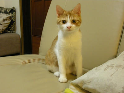 DSCN3729.JPG