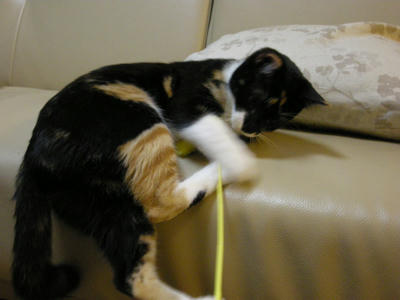 DSCN3726.JPG