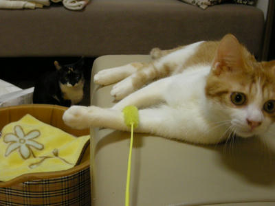 DSCN3733.JPG
