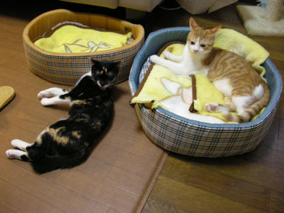 DSCN3734.JPG