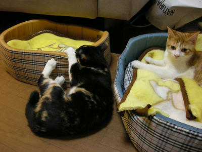 DSCN3746.JPG