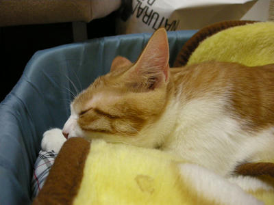 DSCN3755.JPG