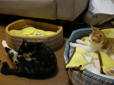 DSCN3748.JPG