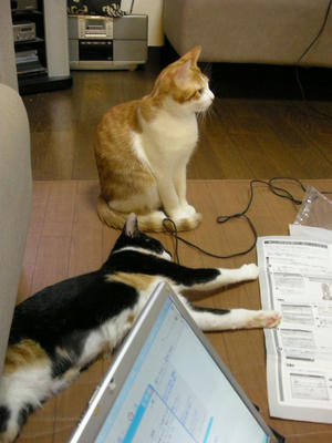 DSCN3906.JPG