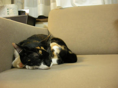 DSCN3880.JPG