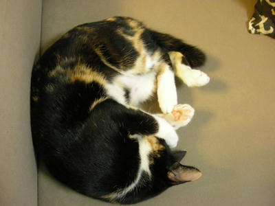 DSCN3884.JPG