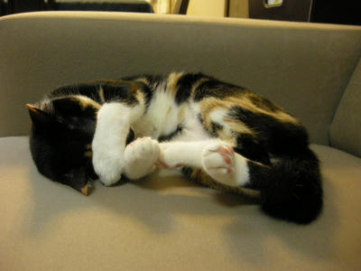 DSCN3882.JPG