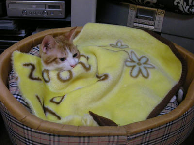 DSCN3825.JPG