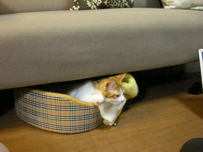 DSCN3897.JPG