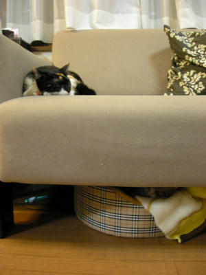 DSCN3878.JPG
