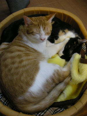DSCN3924.JPG