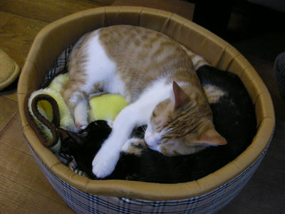 DSCN3933.JPG