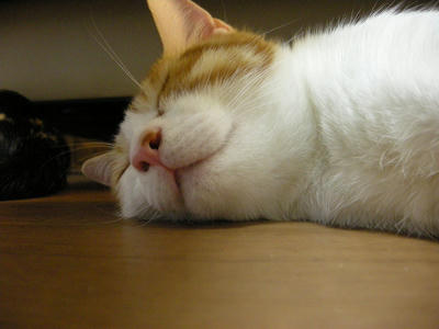 DSCN3959.JPG