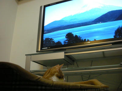 DSCN4059.JPG