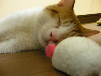 DSCN3992.JPG