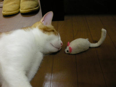DSCN3991.JPG