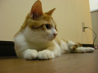 DSCN3979.JPG