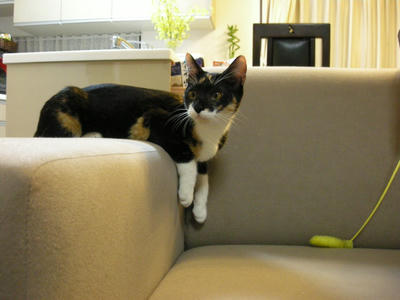 DSCN3995.JPG