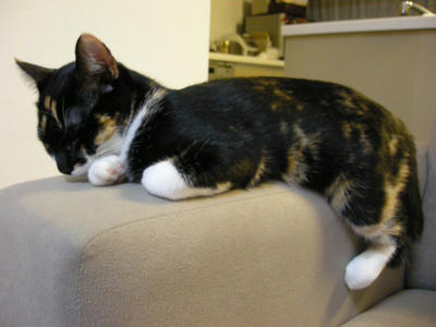 DSCN4078.JPG