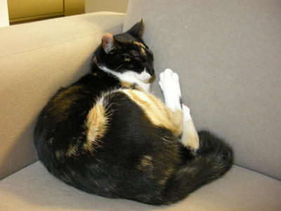 DSCN4086.JPG