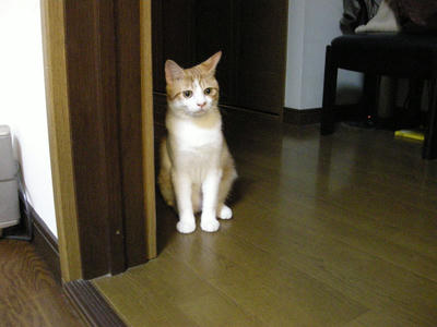 DSCN4026.JPG