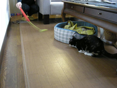 DSCN4269.JPG