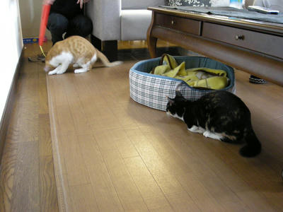 DSCN4270.JPG