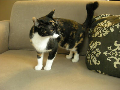 DSCN4308.JPG