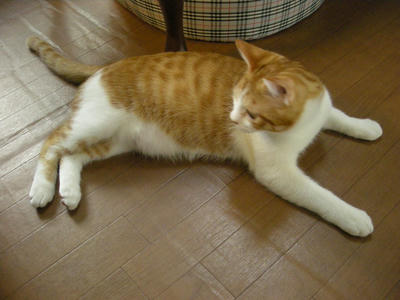 DSCN4275.JPG