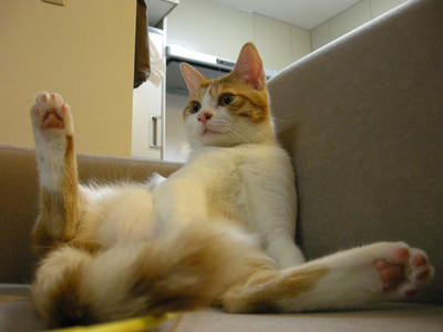 DSCN4733.JPG