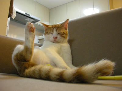 DSCN4735.JPG