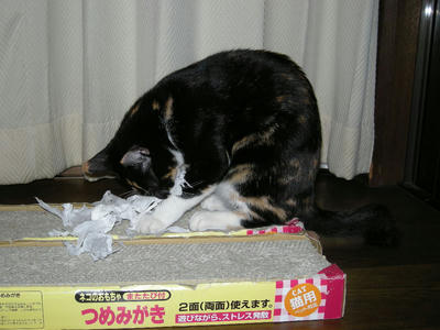 53486b9cjpeg