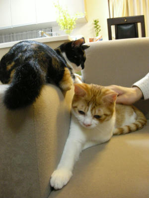 DSCN4019.JPG