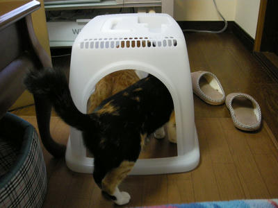 DSCN5557.JPG
