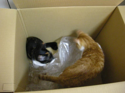 DSCN5566.JPG