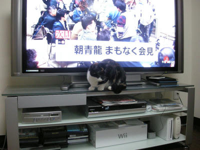 790568d2jpeg