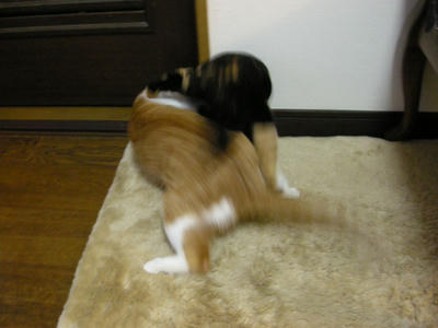 651728d4jpeg