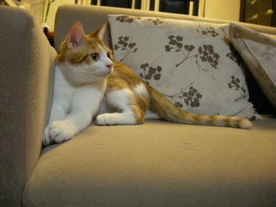 DSCN6329.JPG