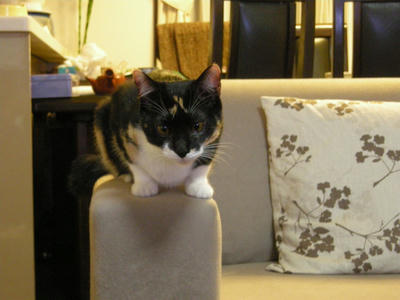 DSCN6355.JPG