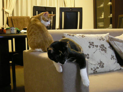 DSCN6357.JPG