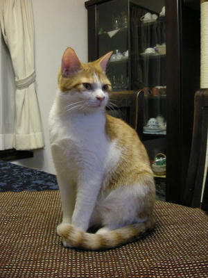 DSCN7633.JPG