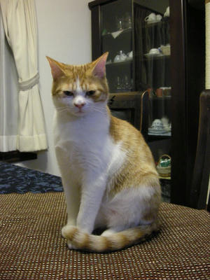 DSCN7634.JPG