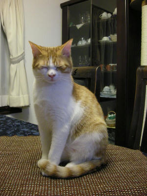 DSCN7635.JPG