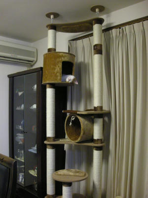 DSCN7728.JPG