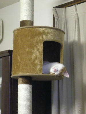 DSCN7729.JPG