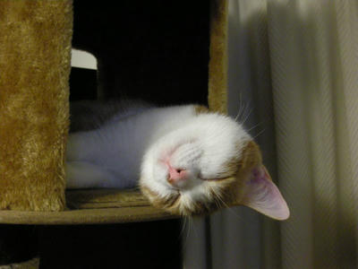 DSCN7731.JPG