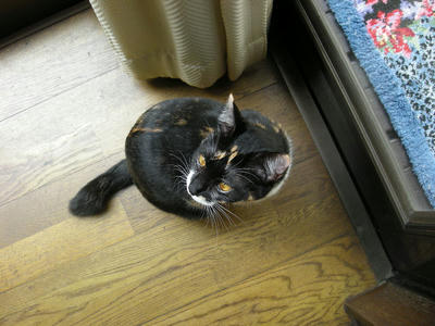 2f0772ffjpeg