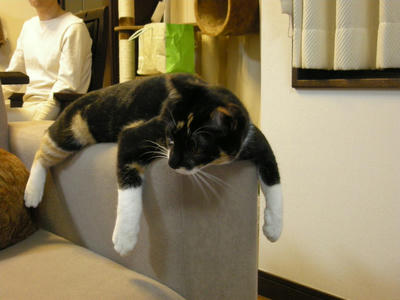 DSCN0884.JPG