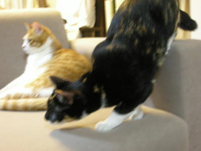 DSCN0888.JPG