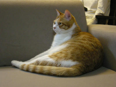 DSCN0892.JPG